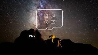 PNY Elite 512 GB microSD card