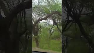 #️#shorts#viral#monika singh#subscribe my channel 