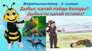 Дыбыс қалай пайда болады?  Жаратылыстану. 3-сынып