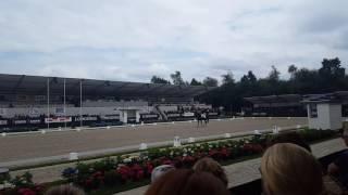 Ermelo Young Horse Breeding Championships
