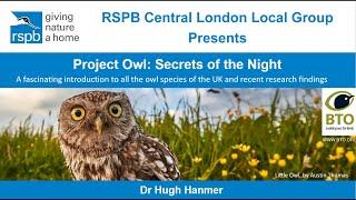 Project Owl: Secrets of the Night by Dr Hugh Hanmer, BTO research ecologist