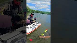 Как прошел мой 2024 #fishing #рыбалка