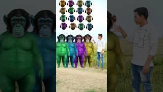 Four purple, blue green & red Fatty dog vs cute brothers head matching with tu Radha meri mainsongs