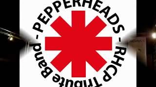 Dark Necessities - Pepperheads (RHCP Tribute)