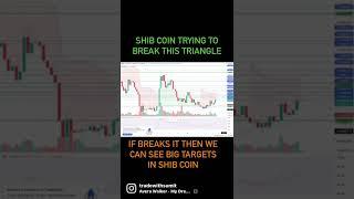 SHIB COIN