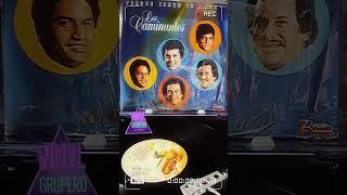 Baila esta cumbia vinyl grupero