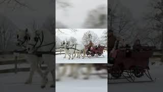 Old wooden sledges, horse-drawn carriages, winter vehicles#wooden