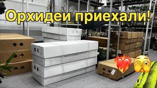 Самый необычный обзор новой поставки!