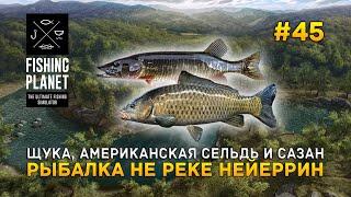 Щука, Американская сельдь и Сазан. Рыбалка не реке Нейеррин - Fishing Planet #45