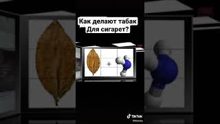 Из чего сделан табак для сигарет?