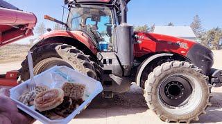 Local High School Feeds Farmers // 2024 Corn Harvest Begins