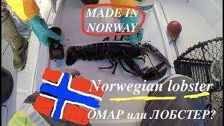 Ловля омаров в Норвегии. Норвежский лобстер гигант/ Lobster fishing in Norway  Norwegian Lobster