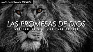 Las Promesas de Dios | Versiculos Biblicos Para Dormir