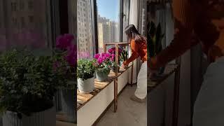 Widen the edges to give more space for growing flowers #balcony planting