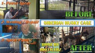 Maintenance of Siberian Husky Cage's done by JBOTTLERZ