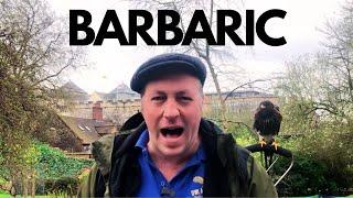 This is Barbaric! This complaint is so ridiculous I had to share it with you | Bird of prey display