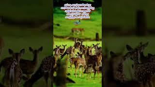 Daily motivation video & WhatsApp Status Video | OVM TV |