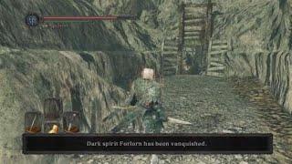 DARK SOULS™ II: Scholar of the First Sin_knight vs forlorn in harvest valley