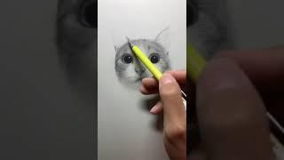 Easy Drawing CAT | how to draw cute PUSSY CAT picture for beginner tutorial | WODSFIW322