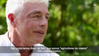 Entofood: Fazendas de insetos para alimentar a aquicultura