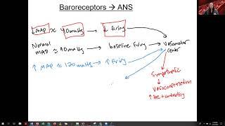 7.9 baroreceptors