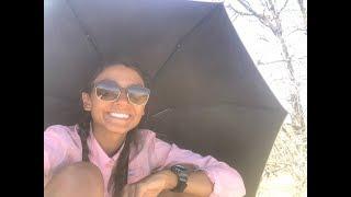 Stella Hikes Episode 2 - Miles 101-200 of the Pacific Crest Trail