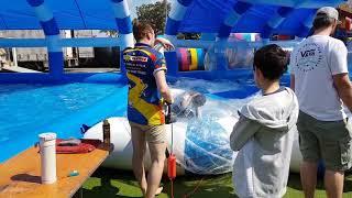 Capri in water bubble at Gold Coast Show