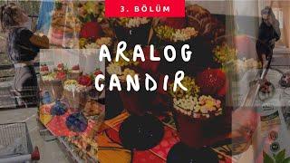 AralogCandır-3️ | Temizlik Günü  | Çay ikramlıkları | Misafir Menüsü | Market Alışverişi 