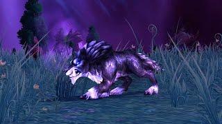 How to: tame the spirit beast Gara | WoW Warlords of Draenor