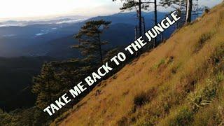 Take me Back to the Jungle | Koolkoy TV