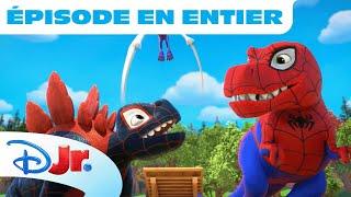 Spidey et ses amis extraordinaires - Moment Magique : Allez les dinos !