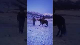 First ride on a horse, Siberia