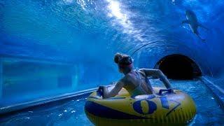 Scary Shark Water Slide at Aquapark Reda