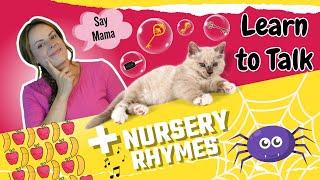 Learn To Talk Baby and Toddler Learning & Nursery Rhymes ! Apples and Bananas + Itsy Bitsy Spider