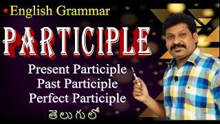 Participle in English Grammar-Present Participle- Past Participle- Perfect Participle