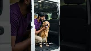 Best Petcare services in Bengaluru | Pawspace