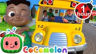 Wheels on the Bus  CoComelon - It's Cody Time | Nursery Rhymes and Kids Songs | After School Club