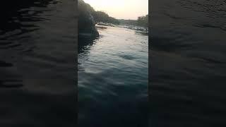 Amla gavani Tori se Dil #shortvideo #song #भक्तिsong #yt #