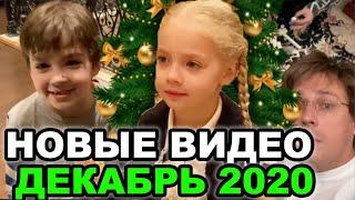 Новые видео Лиза и Гарри Галкины Декабрь 2020. Лиза и Гарри последнее видео.