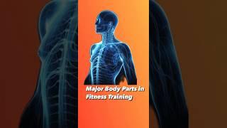 #fitness Anatomy for Fitness: Major Body Parts in Training