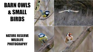 Nature Reserve Bird & Wildlife Photography
