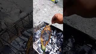Outdoor cooing part 12 #fypyoutube #lipadblogtv #fish #outdoorcooking #foodblogger #foodie
