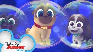 Bubbles | Music Video | Puppy Dog Pals | Disney Junior