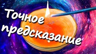 Что Прописано в книге Вашей Судьбы? Что Вам Нужно знать Прямо Сейчас?