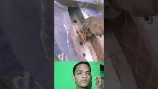 Facts Funny Trending comedy video #Facts  #Rahul Vishwakarma Mauganj #Seedhi #Rewa #subscribe 