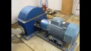 Mini Hydroelectric Pelton Turbine