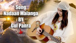 Nadaan Malanga | Gul Panra