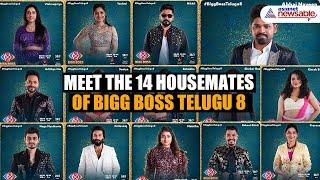 Bigg Boss Telugu 8 Official Announcement: Meet the 14 Housemates of the New Season