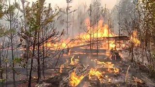 Russland: Waldbrände in Rjasan, beißender Qualm in Moskau