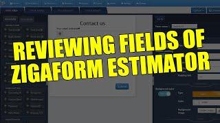 Exploring fields of Zigaform Estimator Form Builder